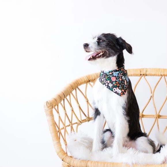 NWT Wild Rose Small Floral Dog Bandana - Picture 3 of 5